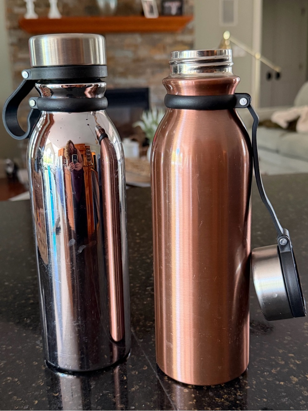 Indigo Rose Copper Stainless Steel Insulated Water Bottles (Set of 2)